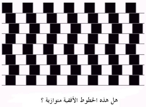 هل الخطوط متوازية السؤال