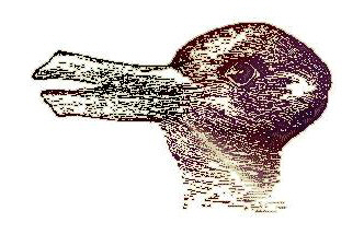 بطه ام ارنب