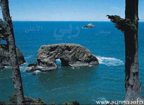 صخرة كأنها رجل ساجد